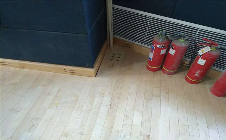 專(zhuān)業(yè)的籃球場(chǎng)木地板價(jià)格是多少錢(qián)?